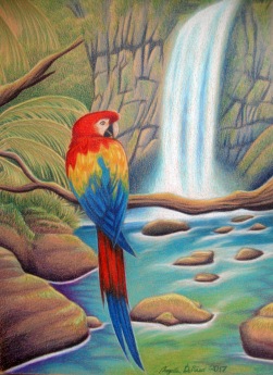 Scarlet Falls 9" x 12" I challenged myself to do a more detail rich background for one of these beautiful birds. I had to use several reference photos to create the scene I wanted. I struggled a bit with the rocks behind the waterfall, and the rocks in the pool were a little more smooth textured than I intended. In the end though, the composition really made the piece complete.